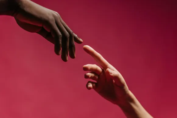 Cazino Vegas Crest Cazinou Suport